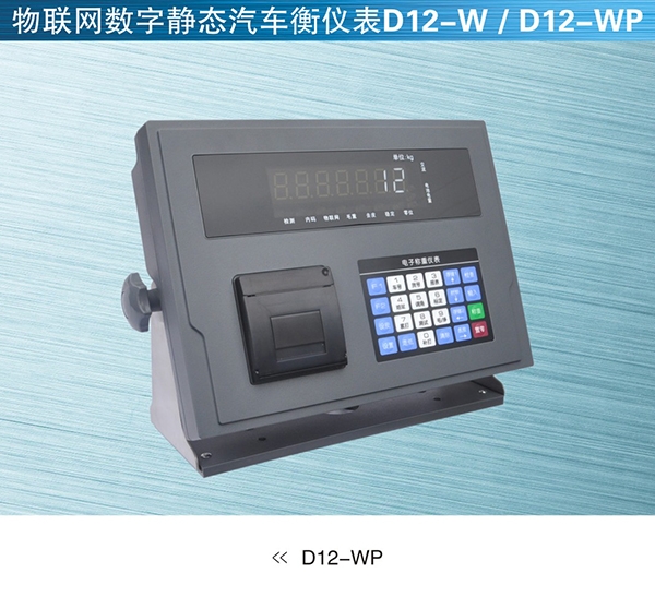 物联网系统D12-W